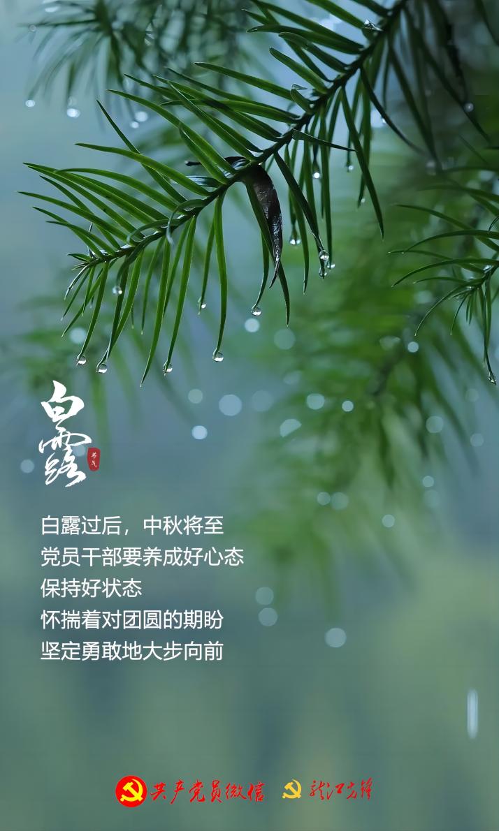 387e01796c05838cbd76f7299bcd460e.jpg