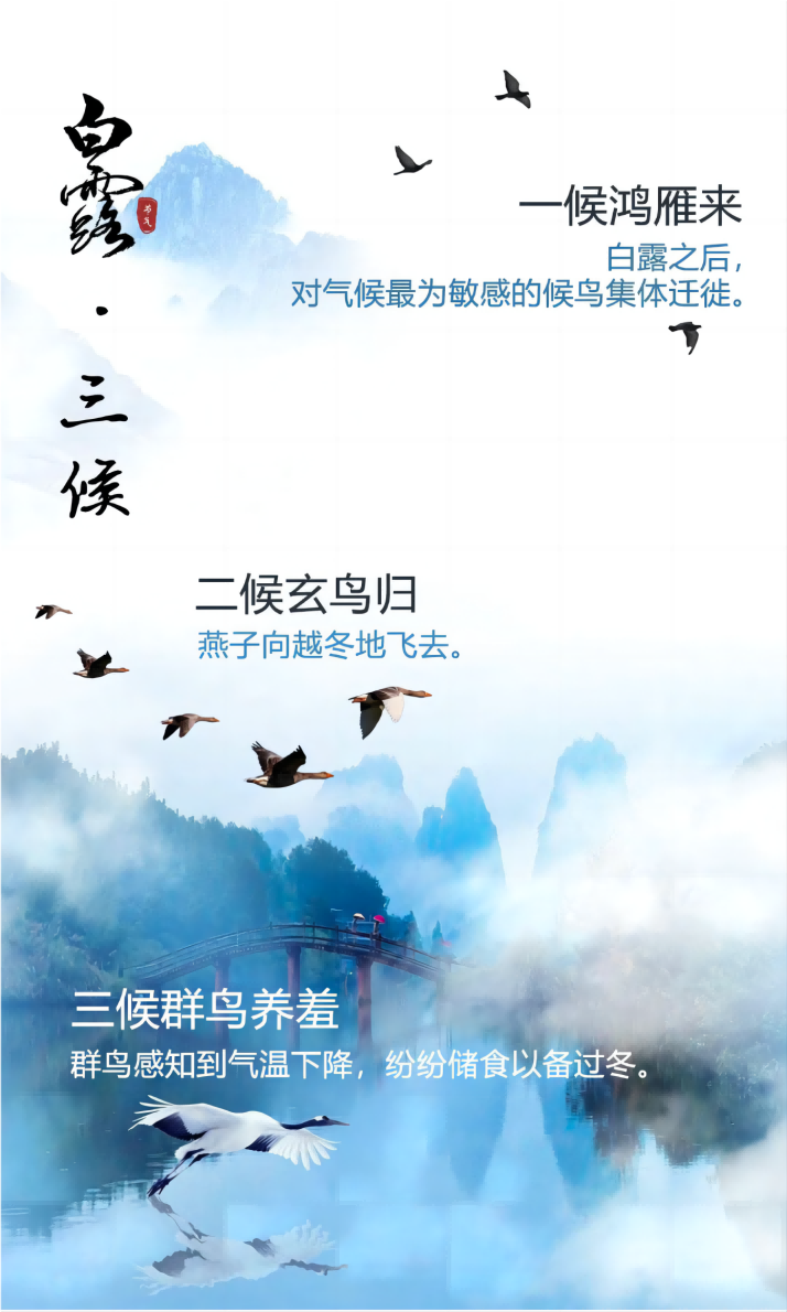 9ac409d7205b9e7c6899f5934e916225.png