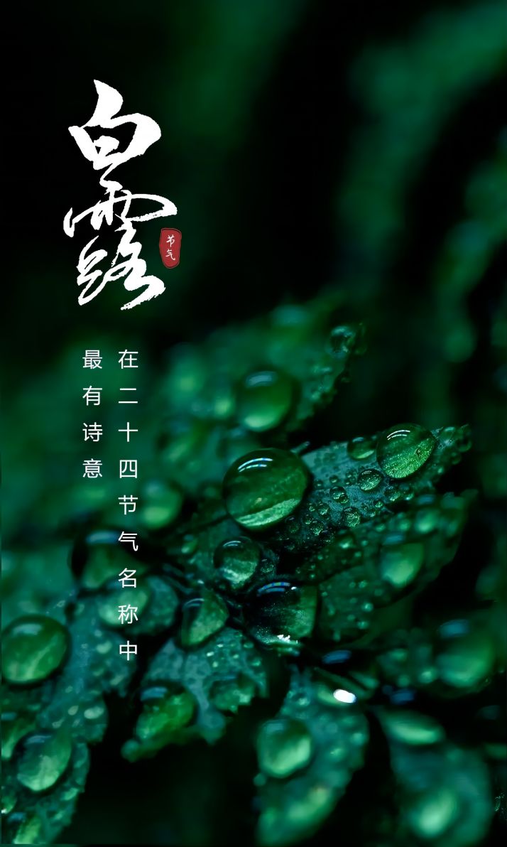 c964ac97140511010006488c522d2358.jpg